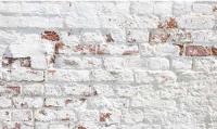 Фото  стеновая кухонная панель кирпичи-штукатурка производитель SV-мебель