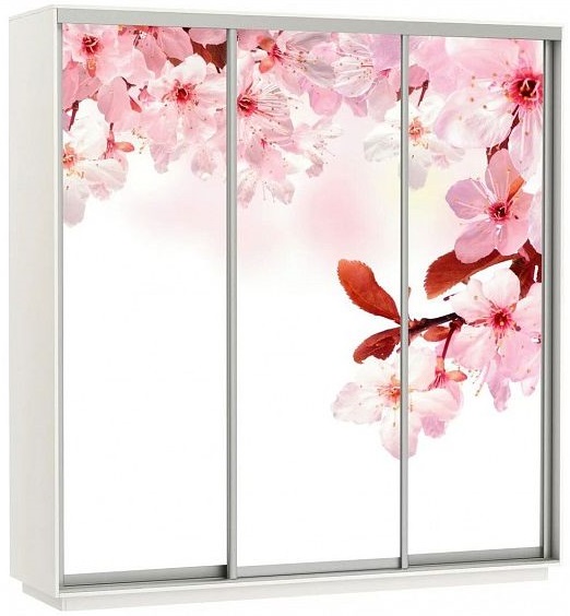 Фото Шкаф-купе Экспресс Трио Фото (2,1х0,6х2,2 - 3 двери) от производителя Мебельная компания Е1 в Армянске по цене 51 430 ₽