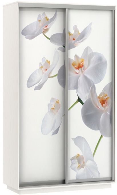 Фото Шкаф-купе Экспресс Дуо Фото (1,6х0,6х2,4 - 2 двери) от производителя Мебельная компания Е1 в Армянске по цене 43 340 ₽