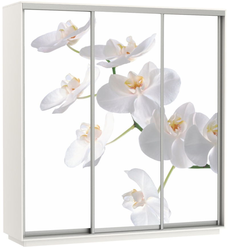 Фото Шкаф-купе Экспресс Трио Фото (2,4х0,6х2,4 - 3 двери) от производителя Мебельная компания Е1 в Армянске по цене 63 870 ₽