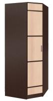 Шкаф Сакура (88) угловой (венге, лоредо-венге,(БТС)) в Армянске от производителя 